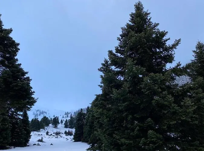 Апартаменты Mezonetes Helmos